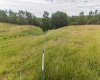 39 Bruhn Bend, Rural Ponoka County, Alberta T0C 2J0, ,Land,For Sale,Bruhn,A2238846