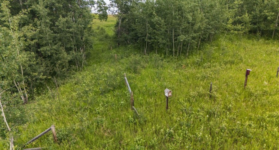 39 Bruhn Bend, Rural Ponoka County, Alberta T0C 2J0, ,Land,For Sale,Bruhn,A2238846