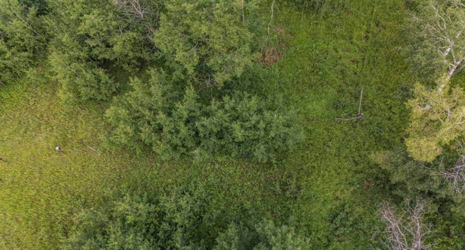 39 Bruhn Bend, Rural Ponoka County, Alberta T0C 2J0, ,Land,For Sale,Bruhn,A2238846