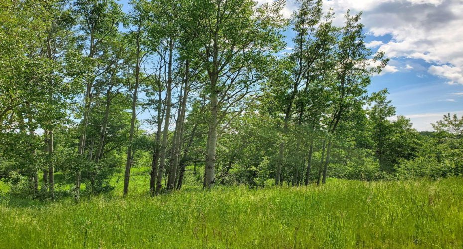 39 Bruhn Bend, Rural Ponoka County, Alberta T0C 2J0, ,Land,For Sale,Bruhn,A2238846