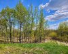 39 Bruhn Bend, Rural Ponoka County, Alberta T0C 2J0, ,Land,For Sale,Bruhn,A2238846