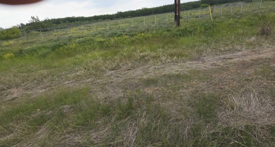 27 Roma Drive, Rural Peace No. 135, M.D. of, Alberta T8S1S4, ,Land,For Sale,Roma Drive,A2239360