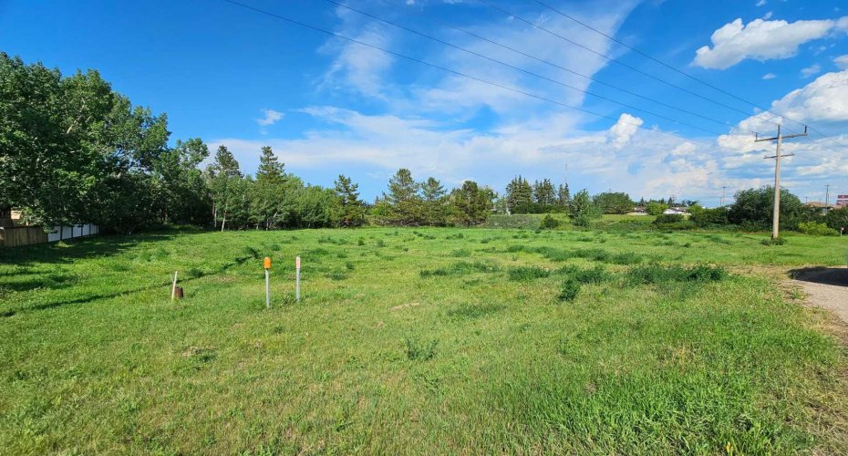 4325 48 Avenue, Castor, Alberta T0C0X0, ,Land,For Sale,48,A2240471