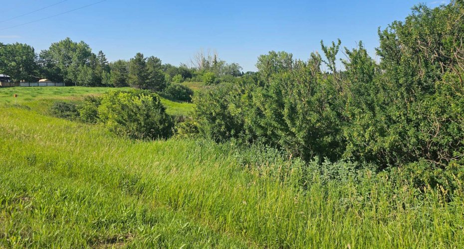 4325 48 Avenue, Castor, Alberta T0C0X0, ,Land,For Sale,48,A2240471