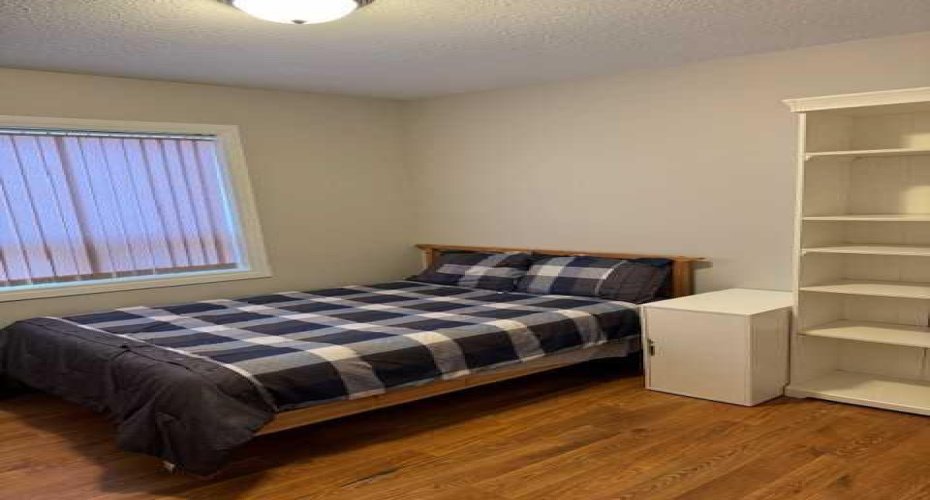 5310 50 Avenue, Castor, Alberta T0C0X0, ,Commercial,For Sale,50,A2240474