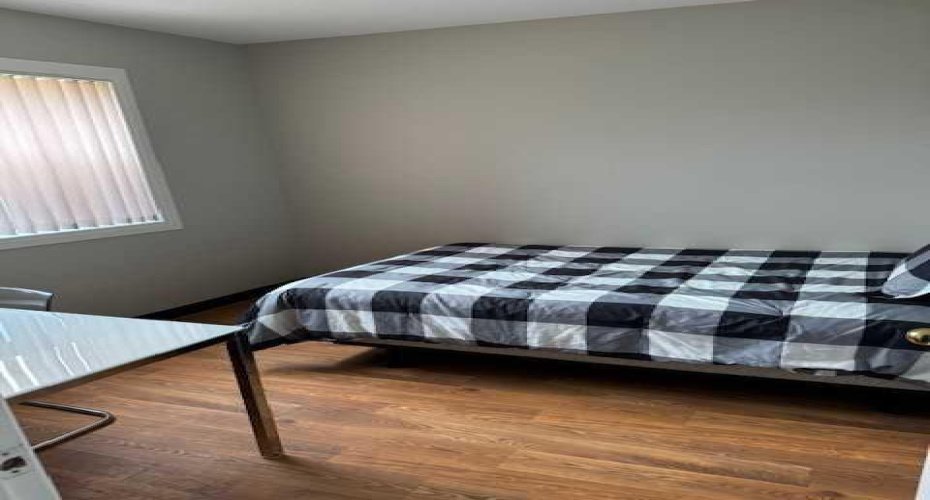 5310 50 Avenue, Castor, Alberta T0C0X0, ,Commercial,For Sale,50,A2240474