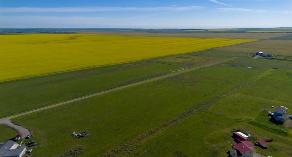 6 Susquehanna Avenue, Rural Cardston County, Alberta T0K 0K0, ,Land,For Sale,Susquehanna,A2240217