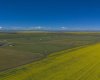 6 Susquehanna Avenue, Rural Cardston County, Alberta T0K 0K0, ,Land,For Sale,Susquehanna,A2240217