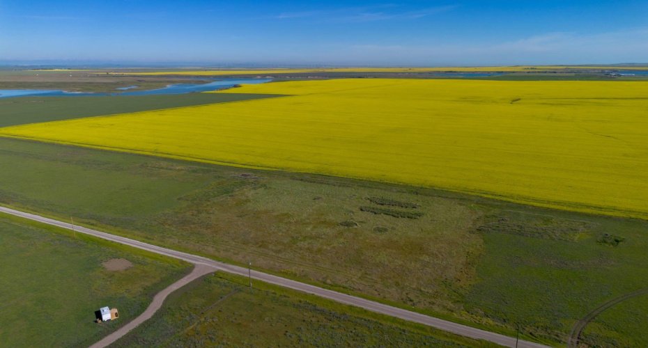 6 Susquehanna Avenue, Rural Cardston County, Alberta T0K 0K0, ,Land,For Sale,Susquehanna,A2240217