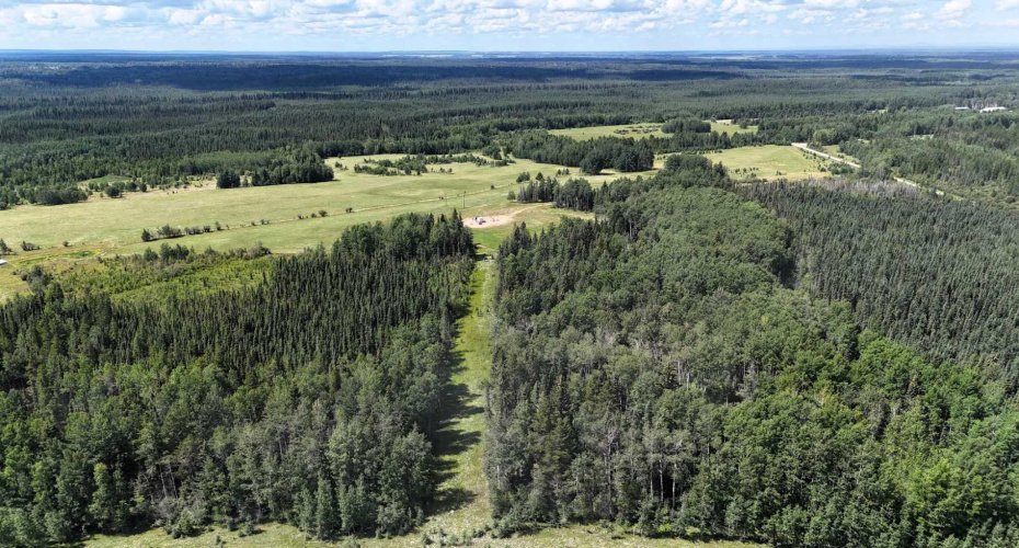 NE-16-53-11-W5 Range Road 113, Rural Yellowhead County, Alberta T0E 2M0, ,Land,For Sale,Range Road 113,A2240773