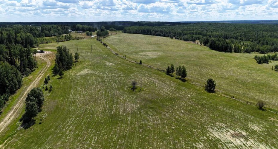 NE-16-53-11-W5 Range Road 113, Rural Yellowhead County, Alberta T0E 2M0, ,Land,For Sale,Range Road 113,A2240773