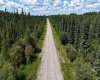 NE-16-53-11-W5 Range Road 113, Rural Yellowhead County, Alberta T0E 2M0, ,Land,For Sale,Range Road 113,A2240773