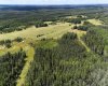 NE-16-53-11-W5 Range Road 113, Rural Yellowhead County, Alberta T0E 2M0, ,Land,For Sale,Range Road 113,A2240773