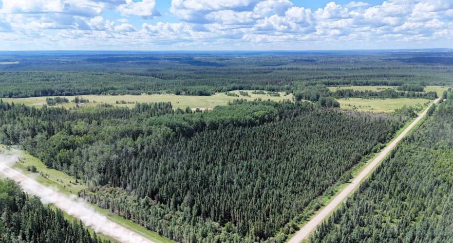 NE-16-53-11-W5 Range Road 113, Rural Yellowhead County, Alberta T0E 2M0, ,Land,For Sale,Range Road 113,A2240773