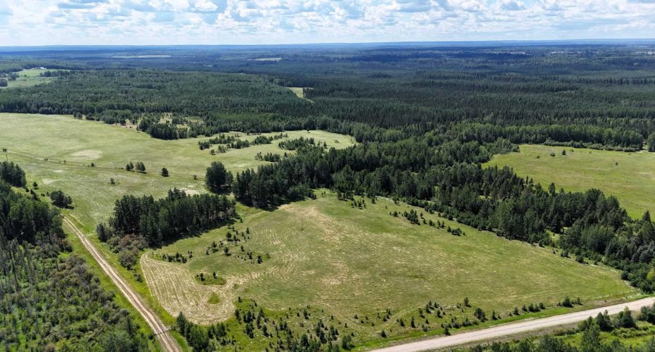 NE-16-53-11-W5 Range Road 113, Rural Yellowhead County, Alberta T0E 2M0, ,Land,For Sale,Range Road 113,A2240773