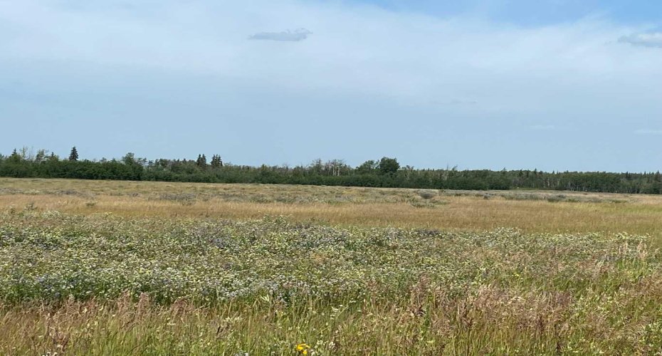 NE 26 78 7 W6, Rural Saddle Hills County, Alberta T0H 3G0, ,Land,For Sale,NE 26 78 7 W6,A2240896