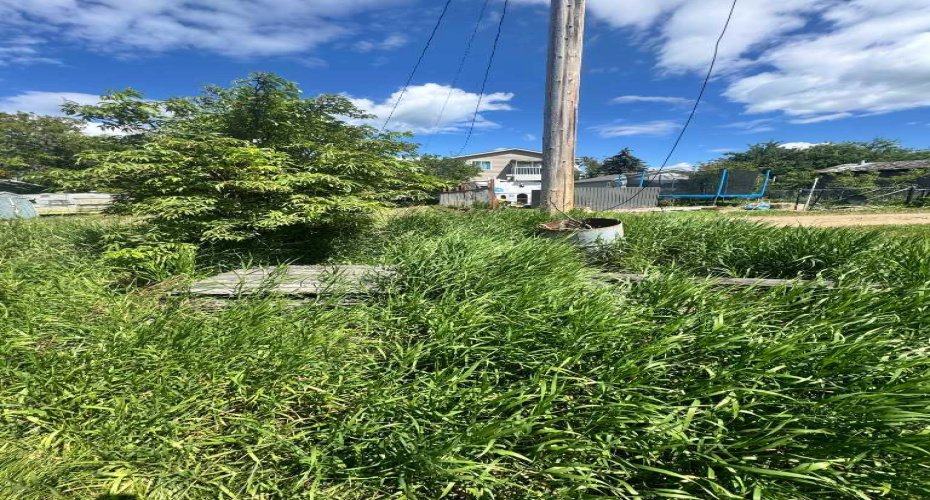 5119 Second Street, Boyle, Alberta T0A0M0, ,Land,For Sale,Second,A2240935