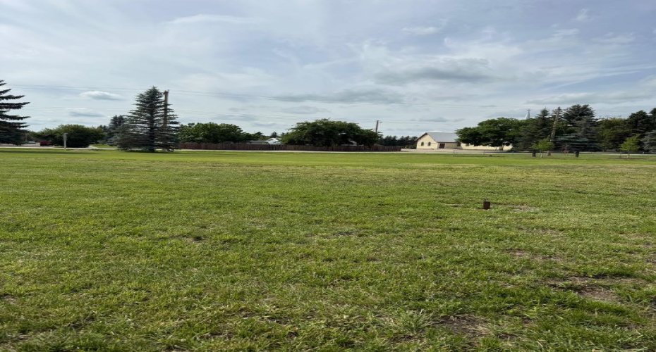 116 2 Avenue, Rockyford, Alberta T0J 2R0, ,Land,For Sale,2,A2240285