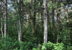 Lot 15 Campsite Road, Plamondon, Alberta T0A 2T0, ,Land,For Sale,Campsite Road,A2112323