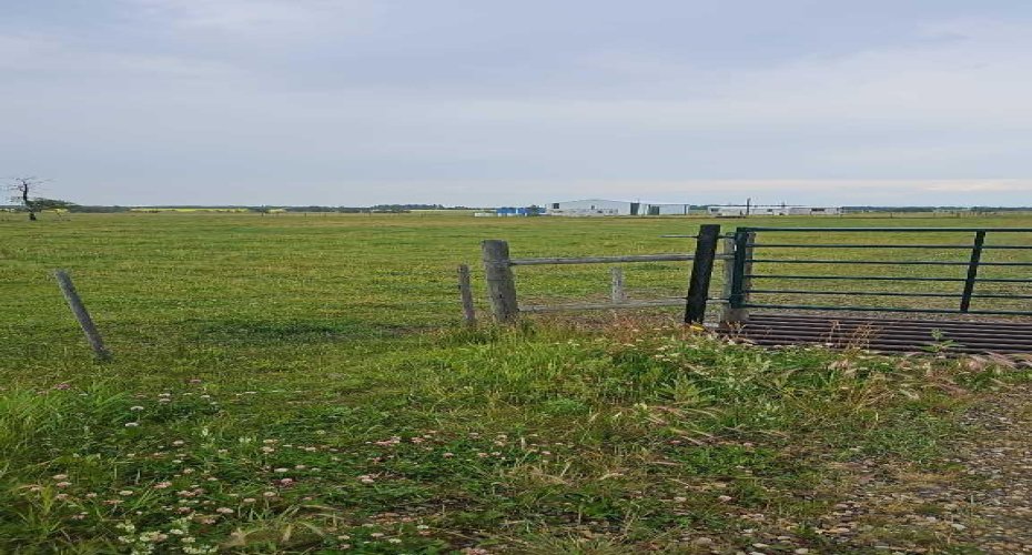 385057A RGE RD 4-3 Street, Rural Clearwater County, Alberta T0M 0X0, ,Agri-business,For Sale,RGE RD 4-3,A2240919