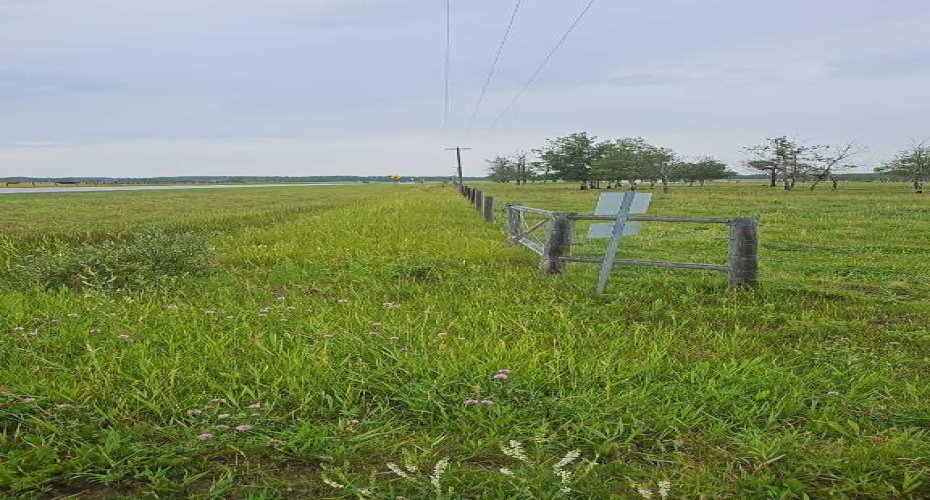385057A RGE RD 4-3 Street, Rural Clearwater County, Alberta T0M 0X0, ,Agri-business,For Sale,RGE RD 4-3,A2240919