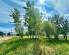 9825 99 Avenue, Lac La Biche, Alberta T0A 2C0, ,Land,For Sale,99,A2243545
