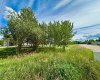 9825 99 Avenue, Lac La Biche, Alberta T0A 2C0, ,Land,For Sale,99,A2243545
