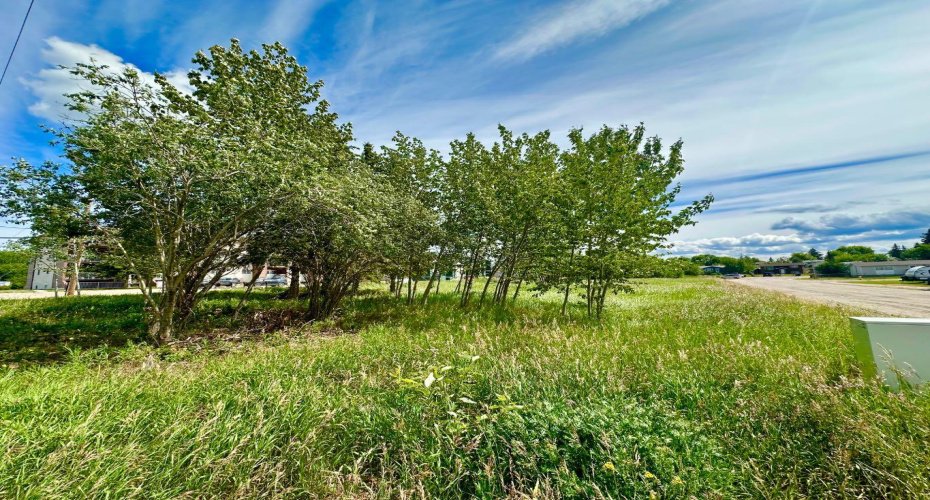9825 99 Avenue, Lac La Biche, Alberta T0A 2C0, ,Land,For Sale,99,A2243545