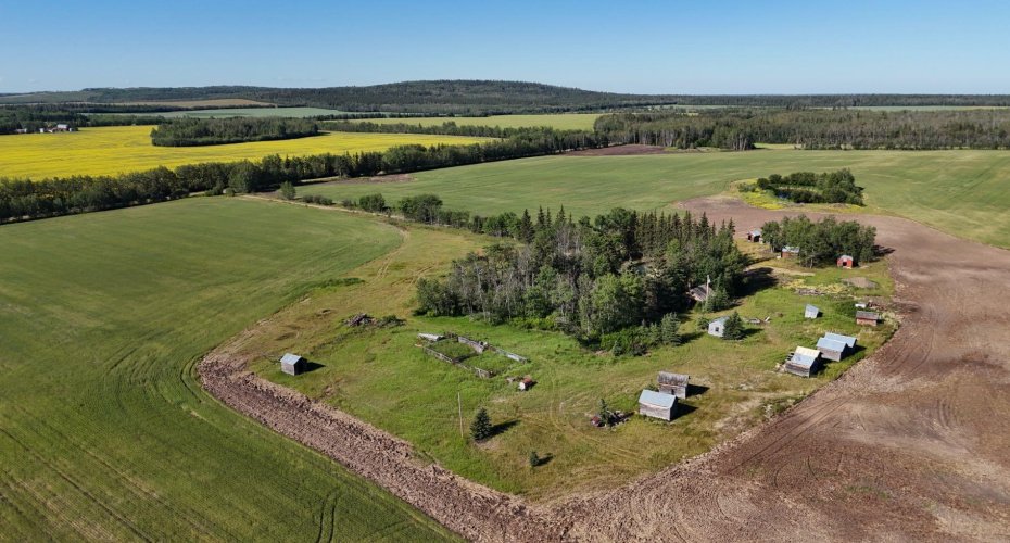 51020 Twp Road 862.5, Rural Clear Hills County, Alberta T0H 1K0, 3 Bedrooms Bedrooms, ,3 BathroomsBathrooms,Residential,For Sale,Twp Road 862.5,A2243467