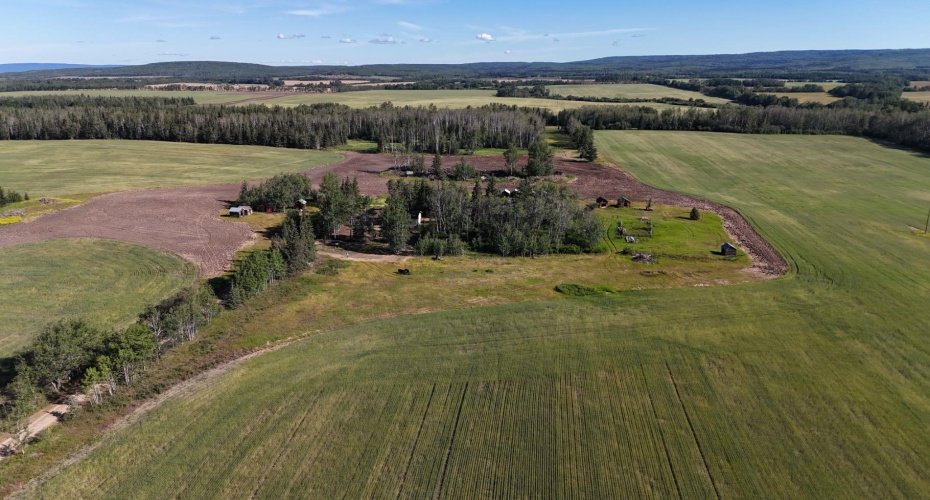 51020 Twp Road 862.5, Rural Clear Hills County, Alberta T0H 1K0, 3 Bedrooms Bedrooms, ,3 BathroomsBathrooms,Residential,For Sale,Twp Road 862.5,A2243467