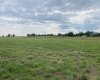 West facing from back of lot