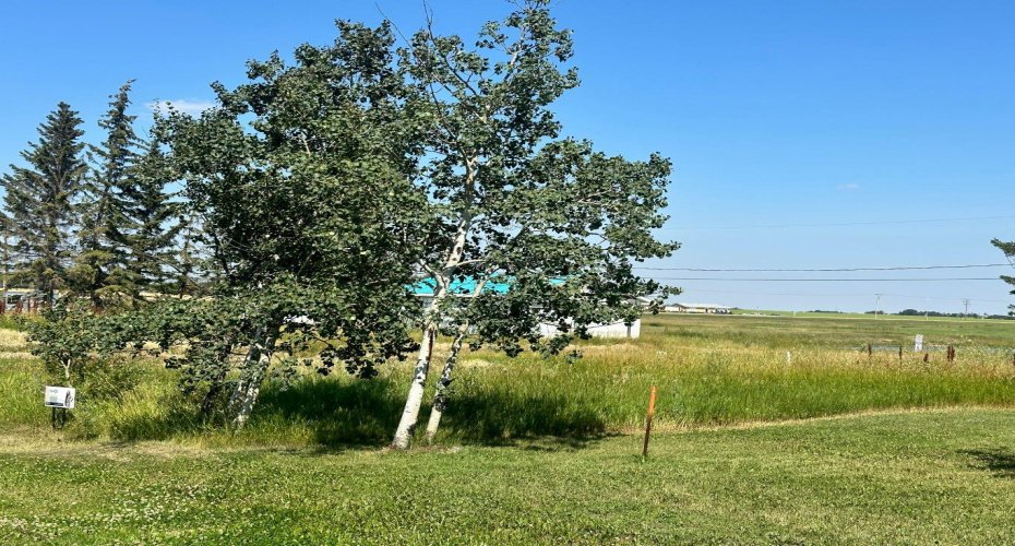 211 Main Street, Waseca, Saskatchewan S0M 3A0, ,Land,For Sale,Main,A2243909