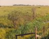 Parcel 8 Range Road 271 just south of Highway 9., Rural Rocky View County, Alberta T0M 1G0, ,Land,For Sale,Range Road 271 just south of Highway 9.,A2158857