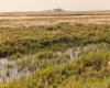 Parcel 8 Range Road 271 just south of Highway 9., Rural Rocky View County, Alberta T0M 1G0, ,Land,For Sale,Range Road 271 just south of Highway 9.,A2158857