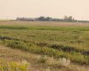 Parcel 8 Range Road 271 just south of Highway 9., Rural Rocky View County, Alberta T0M 1G0, ,Land,For Sale,Range Road 271 just south of Highway 9.,A2158857
