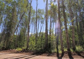 Lot #36 Wapiti River SW-21-69-10-W6, Rural Grande Prairie No. 1, County of, Alberta T0H 1J0, ,Land,For Sale,SW-21-69-10-W6,A2246231