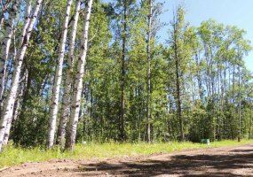 Lot #20 Wapiti River SW-21-69-10-W6, Rural Grande Prairie No. 1, County of, Alberta T0h 1J0, ,Land,For Sale,SW-21-69-10-W6,A2246235