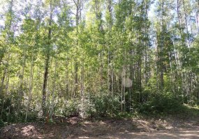 Lot #11 Wapiti River SW-21-69-10-W6, Rural Grande Prairie No. 1, County of, Alberta T0H 1J0, ,Land,For Sale,SW-21-69-10-W6,A2246266
