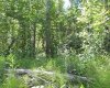 Lot #10 Wapiti River SW-21-69-10-W6, Rural Grande Prairie No. 1, County of, Alberta T0H 1J0, ,Land,For Sale,SW-21-69-10-W6,A2246279