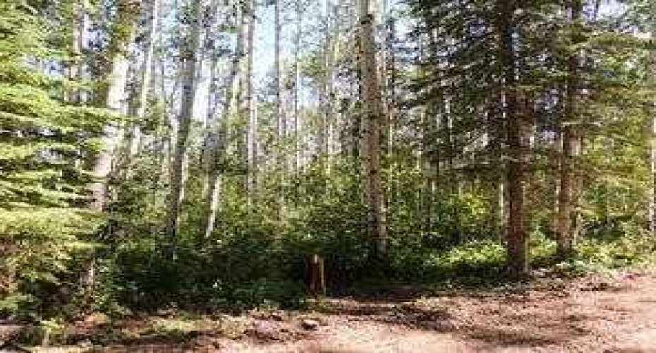 Lot #10 Wapiti River SW-21-69-10-W6, Rural Grande Prairie No. 1, County of, Alberta T0H 1J0, ,Land,For Sale,SW-21-69-10-W6,A2246279