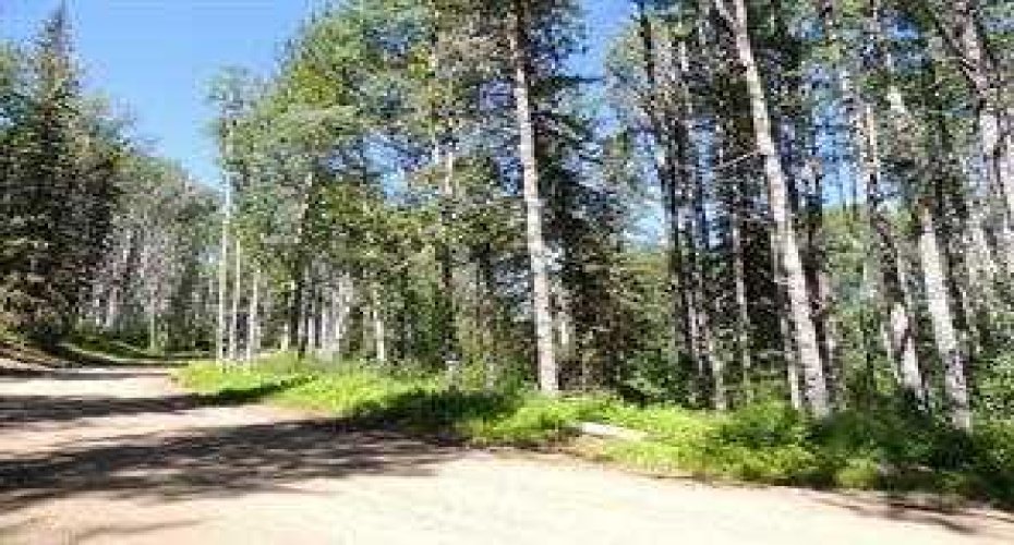 Lot #10 Wapiti River SW-21-69-10-W6, Rural Grande Prairie No. 1, County of, Alberta T0H 1J0, ,Land,For Sale,SW-21-69-10-W6,A2246279