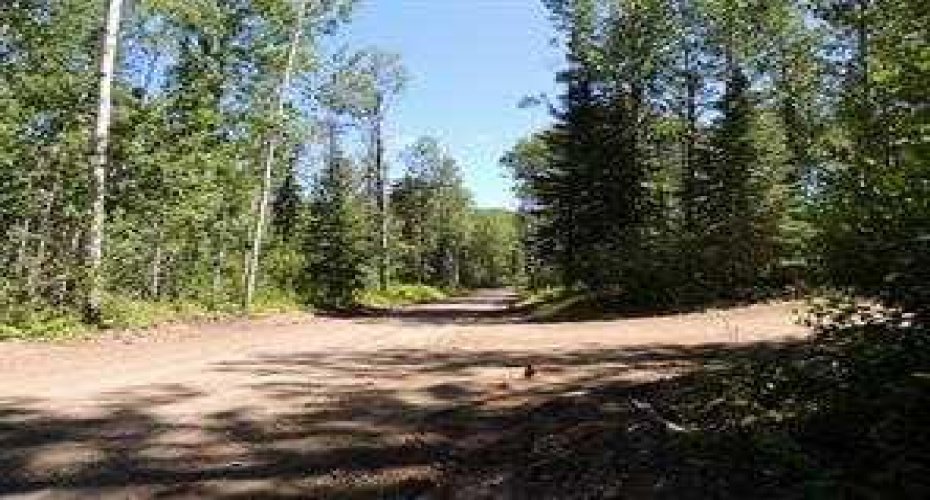 Lot #10 Wapiti River SW-21-69-10-W6, Rural Grande Prairie No. 1, County of, Alberta T0H 1J0, ,Land,For Sale,SW-21-69-10-W6,A2246279