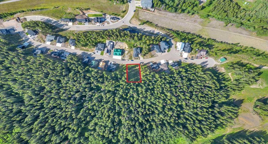 262 Southmore Place, Blairmore, Alberta T0K 0E0, ,Land,For Sale,Southmore,A2245659