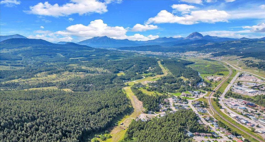 262 Southmore Place, Blairmore, Alberta T0K 0E0, ,Land,For Sale,Southmore,A2245659