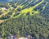 262 Southmore Place, Blairmore, Alberta T0K 0E0, ,Land,For Sale,Southmore,A2245659