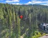 262 Southmore Place, Blairmore, Alberta T0K 0E0, ,Land,For Sale,Southmore,A2245659