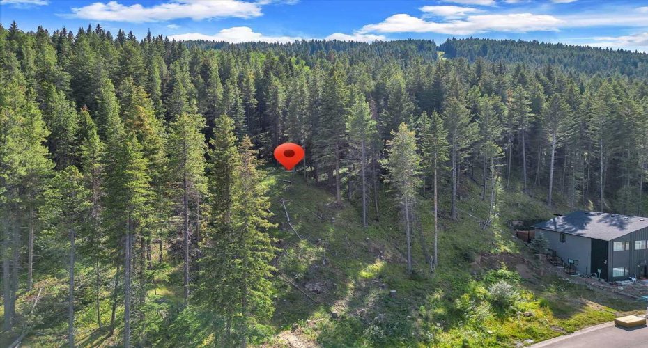 262 Southmore Place, Blairmore, Alberta T0K 0E0, ,Land,For Sale,Southmore,A2245659