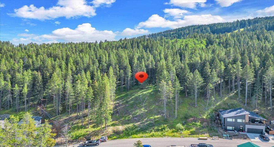 262 Southmore Place, Blairmore, Alberta T0K 0E0, ,Land,For Sale,Southmore,A2245659