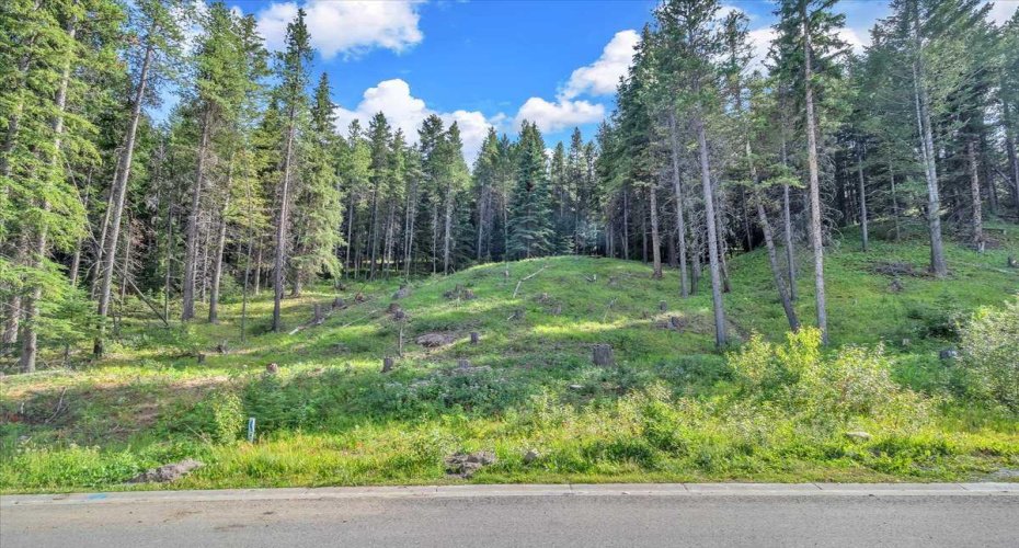 262 Southmore Place, Blairmore, Alberta T0K 0E0, ,Land,For Sale,Southmore,A2245659