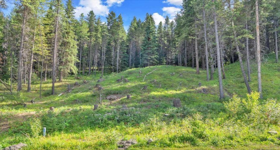 262 Southmore Place, Blairmore, Alberta T0K 0E0, ,Land,For Sale,Southmore,A2245659